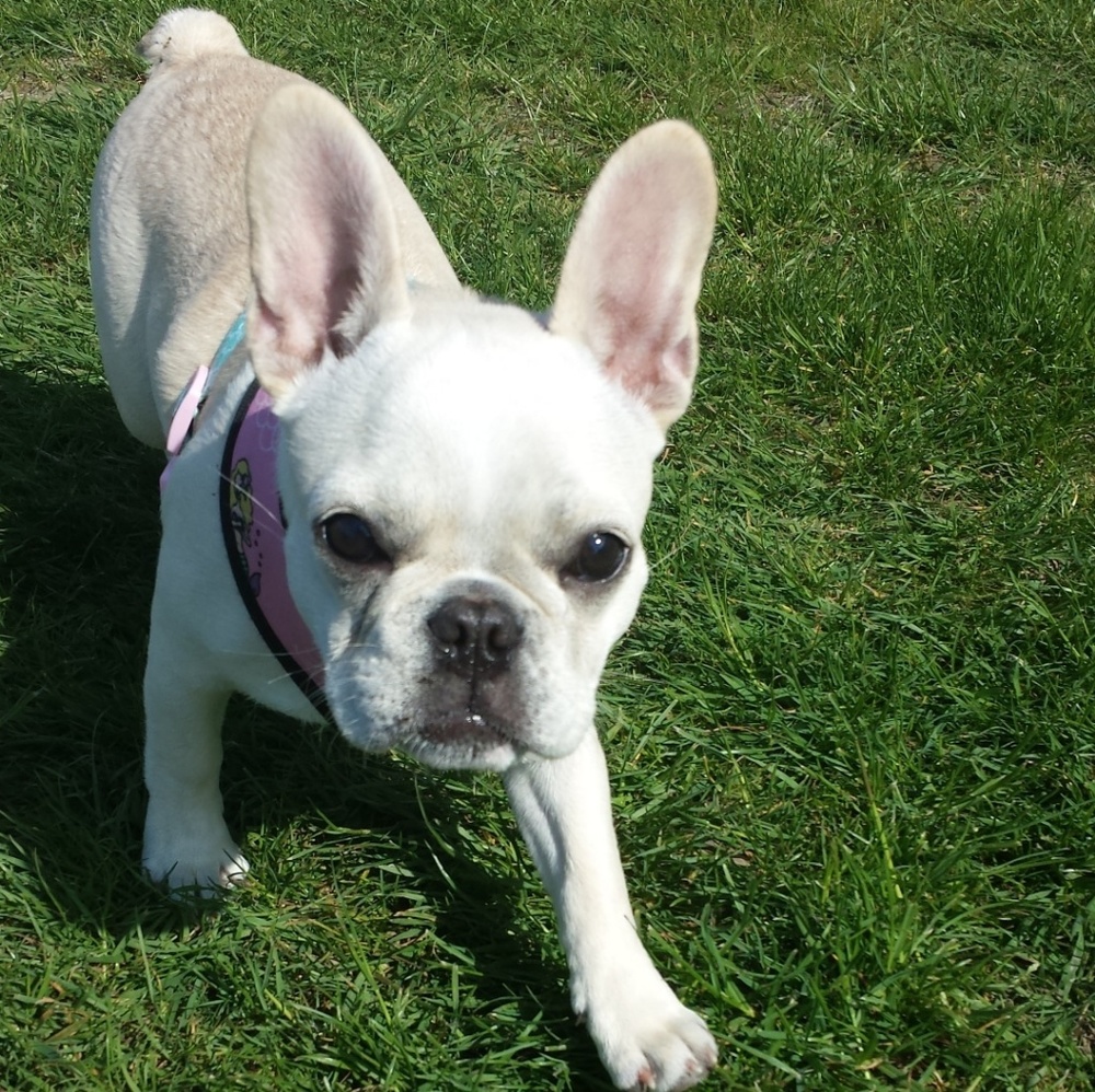 See Something You Want/Like???